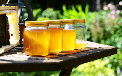 Where to Find Long Island Honey